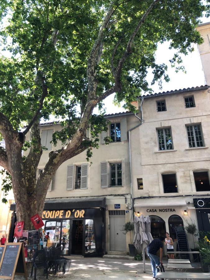 Avignon Pedestrian Area, Charming, 4 Persons 아파트 외부 사진