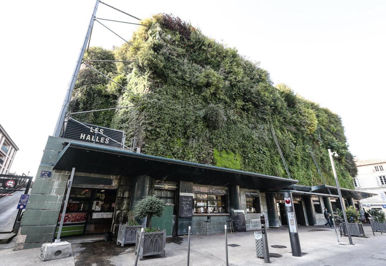 Avignon Pedestrian Area, Charming, 4 Persons 아파트 외부 사진