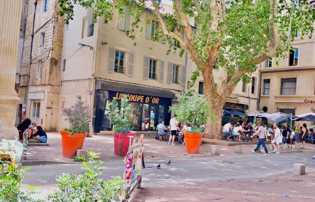 Avignon Pedestrian Area, Charming, 4 Persons 아파트 외부 사진