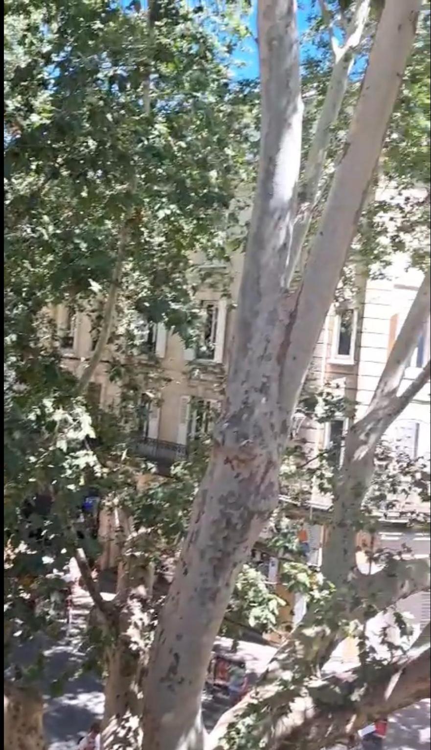 Avignon Pedestrian Area, Charming, 4 Persons 아파트 외부 사진